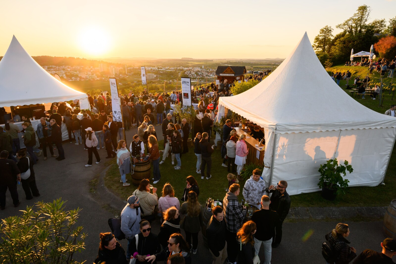 Panoramaweinfest_Stephan-Haase-2-1600×1067-1